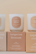 Load image into Gallery viewer, tangerine blossom // spring
