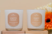Load image into Gallery viewer, sugared citrus // spring
