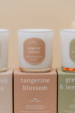 Load image into Gallery viewer, tangerine blossom // spring
