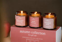 Load image into Gallery viewer, gift trio set // autumn

