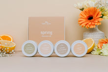 Load image into Gallery viewer, discovery set // spring
