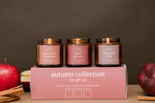 Load image into Gallery viewer, gift trio set // autumn
