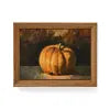Load image into Gallery viewer, FRAMED CANVAS PRINT / PUMPKIN
