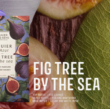 Load image into Gallery viewer, scented sachet // fig tree by the sea
