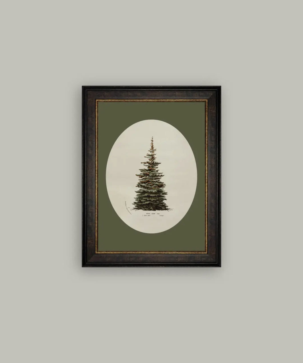 Oval Matte Tree Framed Art // 14x18
