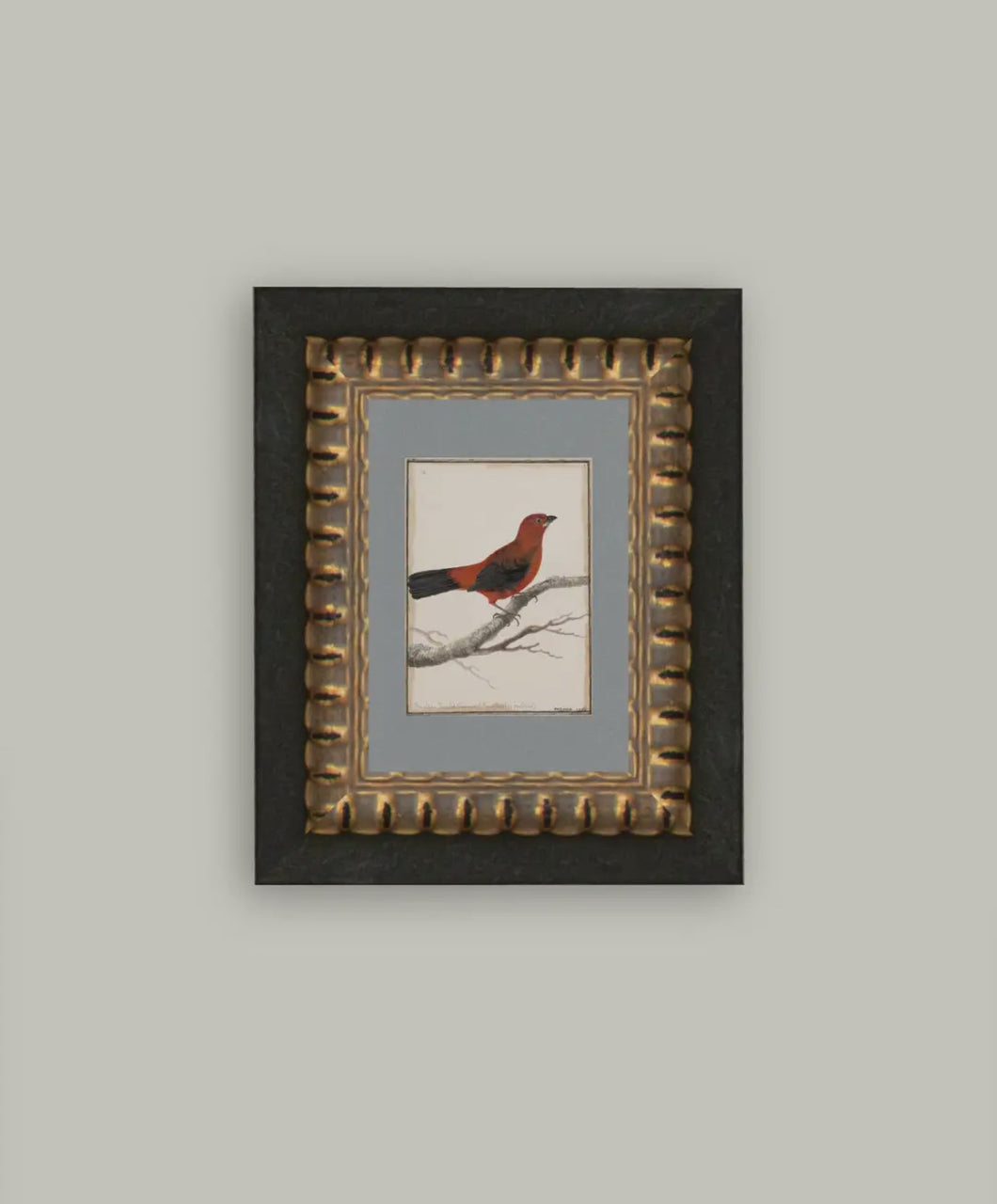 Red Bird Framed Antique Art // 5x7