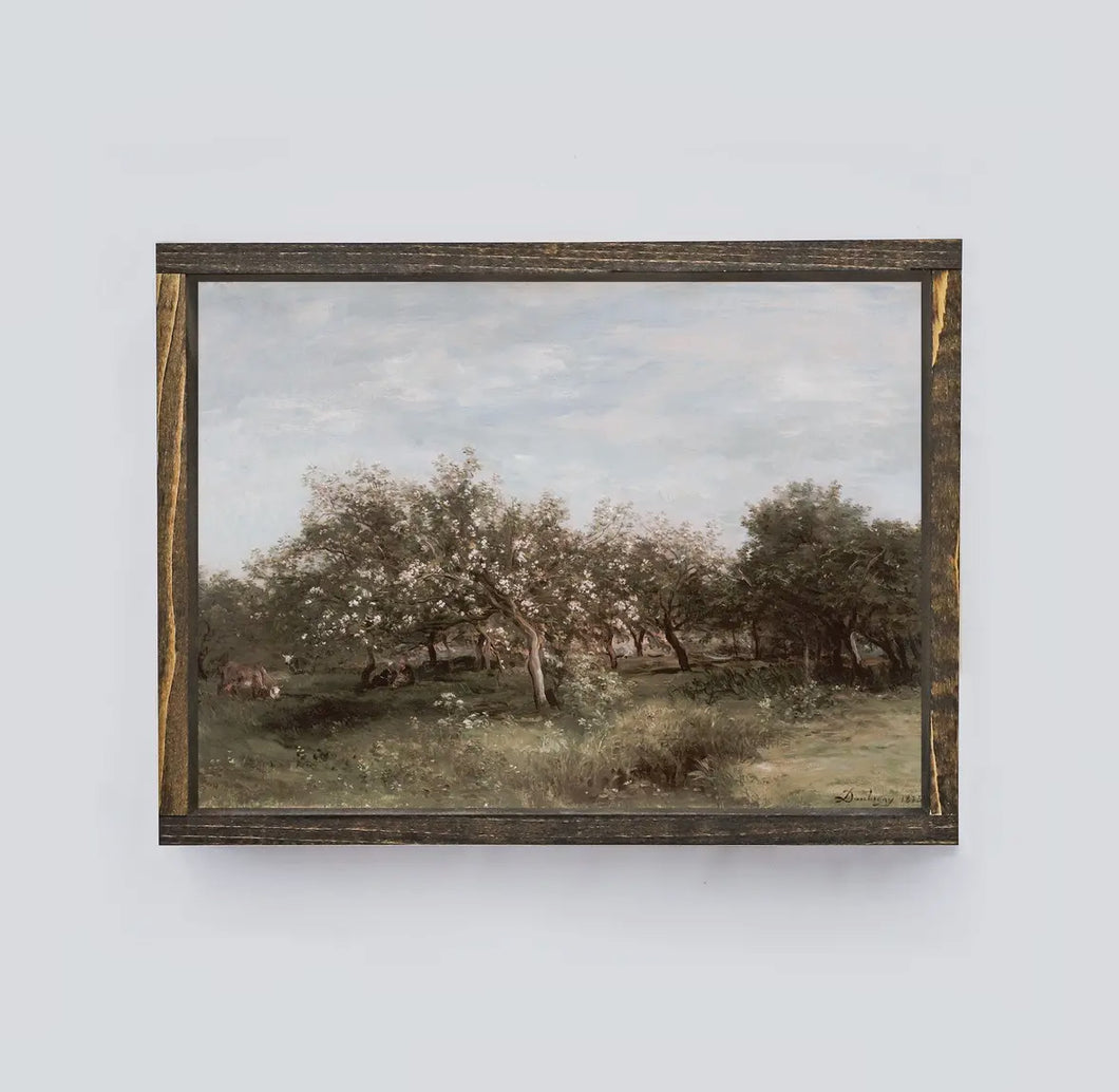 FRAMED VINTAGE PRINT / APPLE ORCHARDS
