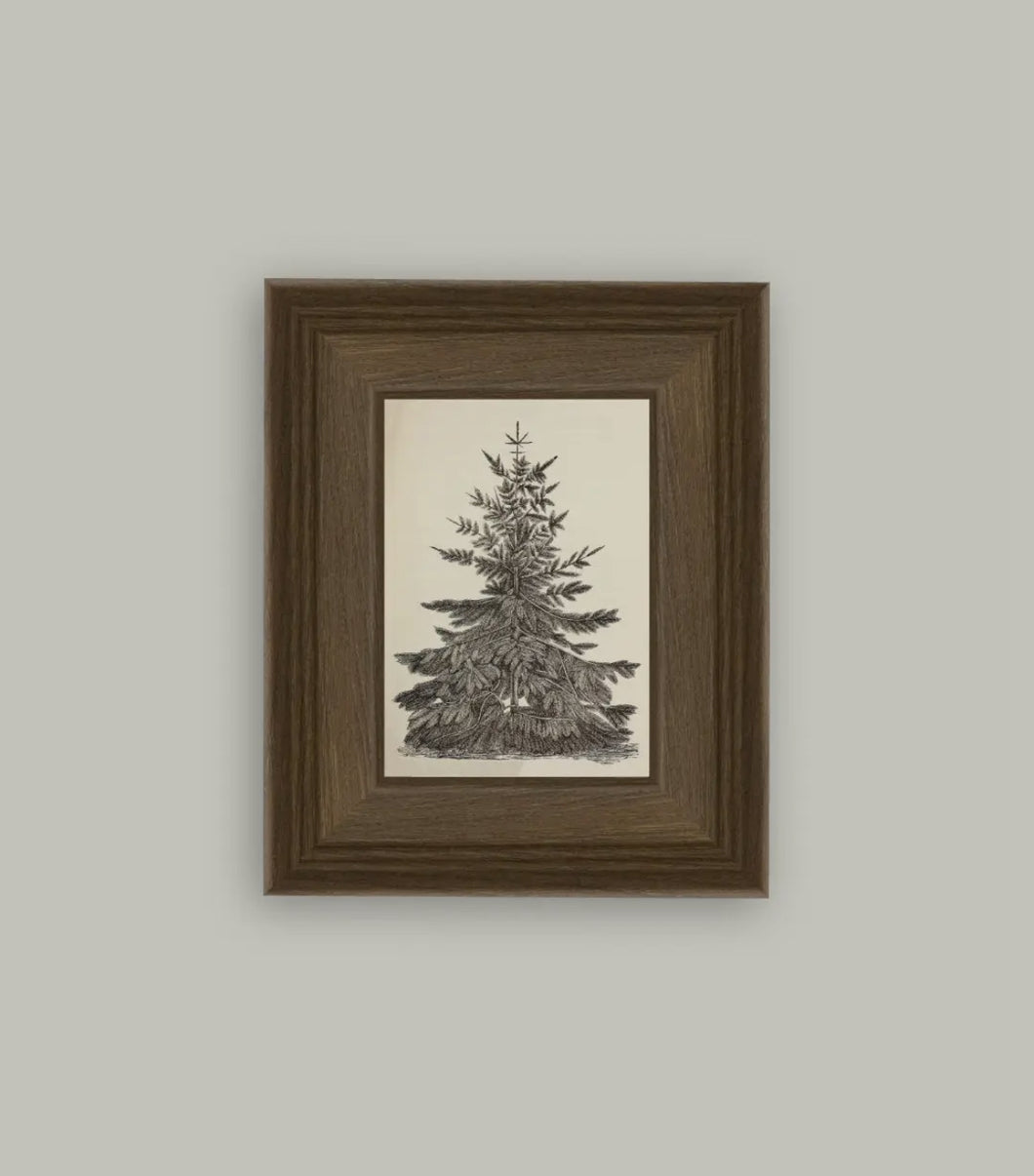 Vintage Pine Tree Framed Art // Various sizes