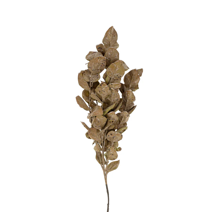 Autumn Leaves Branch / Brown