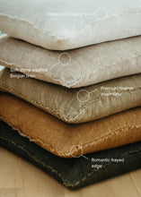 Load image into Gallery viewer, Lina Linen Pillow Shadow / 20x20

