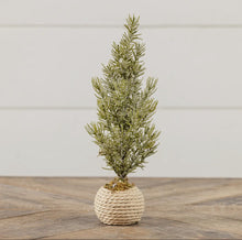 Load image into Gallery viewer, Vervier Tree in a Pot // 12.25&quot;

