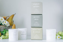 Load image into Gallery viewer, olive leaf &amp; citron
