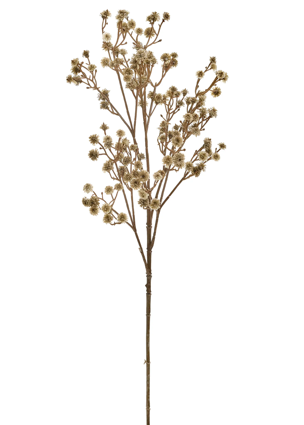 STEM FLOWERS / GREEN