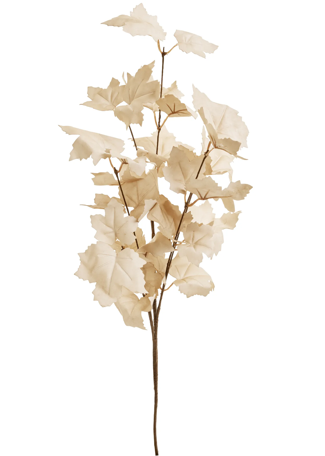 BRANCH MAPLE LEAF / BEIGE