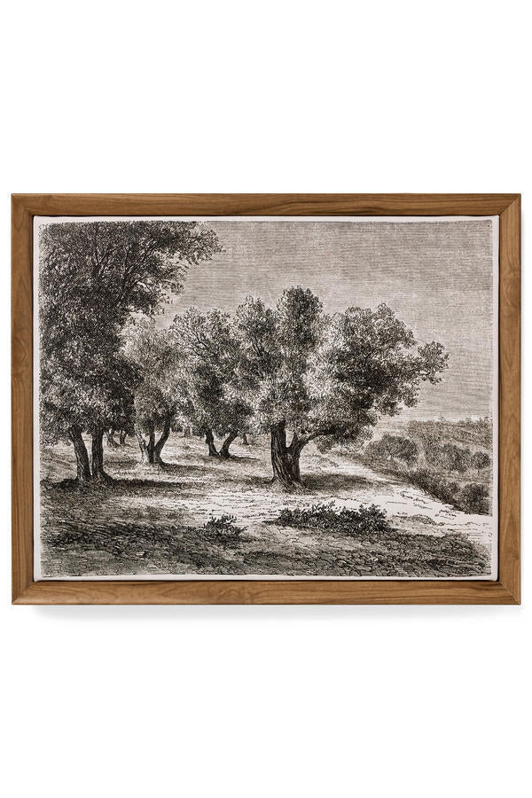 FRAMED WALL ART / OLIVE TREES
